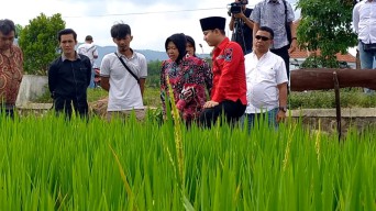Risma Tertarik Replikasi Inovasi Pertanian Trenggalek di Jawa Timur