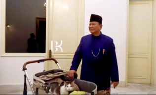 Bobby Kertanegara, Kucing Prabowo yang Punya Kamar Pribadi di Istana Negara