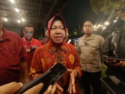 Cagub Risma Bakal Bikin Terowongan Jember - Banyuwangi, Kurangi Kepadatan Jalur Gumitir