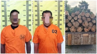 2 Pencuri Kayu Jati di Lahan Perhutani Ditangkap Polisi Tulungagung