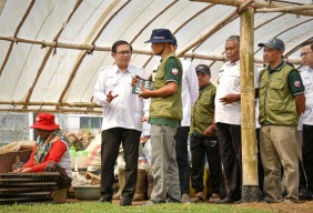 Program TJSL Petrokimia Gresik, Desa Tawangargo jadi Pusat Hortikultura Modern
