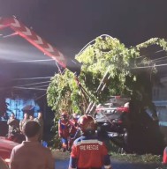 Angin Puting Beliung Terjang Kawasan Dharmahusada Surabaya