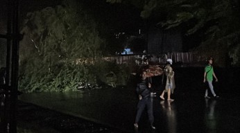 Pemotor di Trenggalek Tewas Tertimpa Pohon