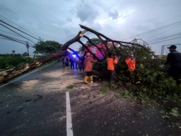 Puluhan Rumah hingga Masjid di Lamongan Rusak Diterjang Hujan Es