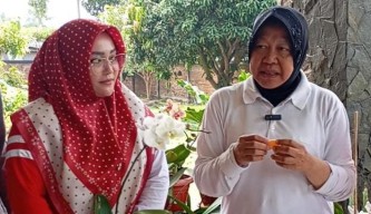 Cagub Jatim Risma Optimistis Jeruk Malang Bisa Go Internasional