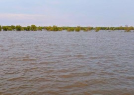 Banjir Rob di Sedati Sidoarjo Belum Surut, Petani Merugi