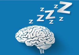 Ternyata Otak Bekerja Lebih Keras saat Kita Tidur, Ini Proses dan Dampaknya
