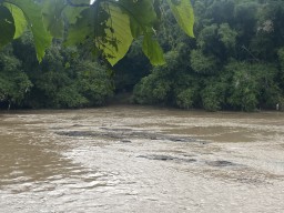 Heboh Penemuan Mayat Wanita Tanpa Busana di Sungai Ponorogo