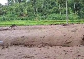 Banjir Bandang Melanda 3 Desa di Jember, Ratusan Hektare Sawah Rusak