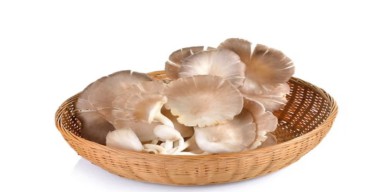 7 Jenis Jamur yang Aman Dikonsumsi dan Bermanfaat untuk Kesehatan