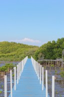 5 Hal Menarik dari Destinasi Wisata Mangrove Penunggul Park di Pasuruan