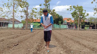 Giat Ketahanan Pangan, Lapas Kelas I Surabaya Tanam Bibit Jagung di Lahan Baru
