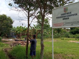 Warga Jember Bakar Gubuk di Lahan Pemkab, Kerap jadi Lokasi Transaksi Okerbaya