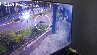 Kampus Buka Suara soal Mahasiswa Universitas Jember Lompat dari Lantai 8