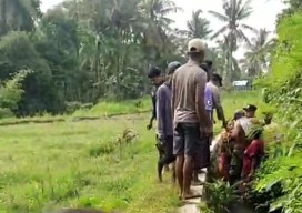 Warga Jember Temukan Bayi Laki-laki Dibuang, Ada Suara Tangis Dikira Musang