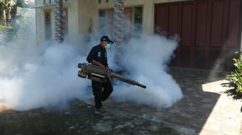 Demam Berdarah Serang 44 Warga Tulungagung di Awal Tahun