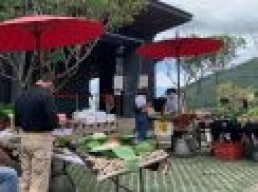 UMKM Berkesempatan Ikut Program Penghapusan Utang, Ini Syaratnya