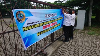 Cegah Penyebaran PMK, Pasar Hewan di Tulungagung Ditutup Sementara