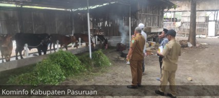 Disnak Tegaskan Susu dan Daging Sapi asal Pasuruan Aman dari PMK