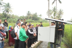 Inovasi Smart Farming untuk Usir Hama dan Tingkatkan Kualitas Padi