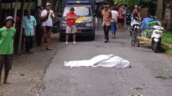 Pemotor asal Jombang Tewas Tertimpa Pohon Sengon di Kediri