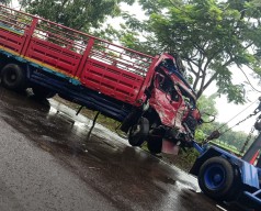 Sopir Truk asal Kebumen Tewas di Bojonegoro usai Tabrak Tronton