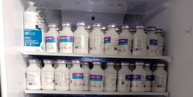 1.002 Ternak Tertular PMK, Disnakeswan Lamongan Distribusikan 7.050 Dosis Vaksin