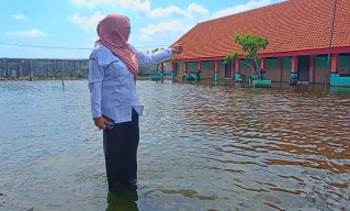 SDN 1 Banjarsari Kebanjiran, 22 Guru Lulus PPPK Dibatalkan, Pulang Gondol Motor