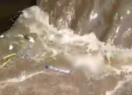 Pemancing Temukan Jasad Bayi Mengapung di Sungai Bondoyudo Jember