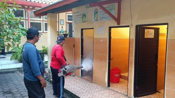 4 Pasien Anak DBD di Tulungagung Meninggal Dunia pada Awal 2025