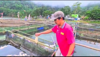 Misteri Ribuan Ikan Nila Mati di Ngebel Ponorogo Terungkap, Ini Penyebabnya