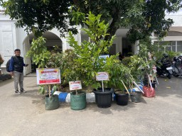 Bupati - Wabup Ponorogo Terpilih Dapat Ucapan Selamat Berupa Bibit Pohon