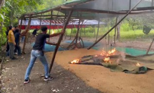 Diduga jadi Tempat Judi Sabung Ayam, Lahan Kosong di Bangkalan Dibakar Polisi