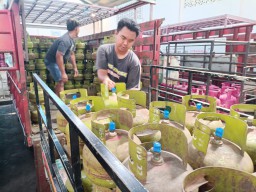 Buaya Satroni Tambak, LPG 3 Kg di Pangkalan, Alokasi Pupuk Bersubsidi