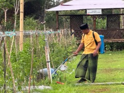 Tingkatkan Pengelolaan Lingkungan di Bangkalan, PHE WMO Kembali Raih Proper Emas