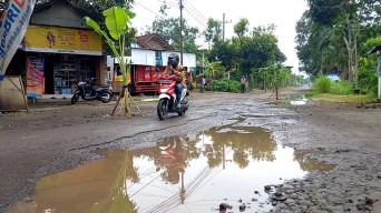Warga Wonanti Trenggalek Tanam Pohon Pisang Protes Jalan Rusak Belasan Tahun