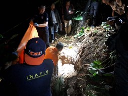 Bocah Dibunuh Pacar Ibu, Polisi Bongkar Kuburan di Kebun Kopi Garahan Jember