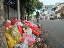 DLH Jember Akui Tumpukan Sampah Dampak Polemik Non-ASN