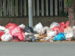 Tumpukan Sampah Hiasi Wajah Jember, Imbas Pengurangan Honorer DLH?