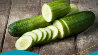 10 Manfaat Timun untuk Kesehatan Tubuh
