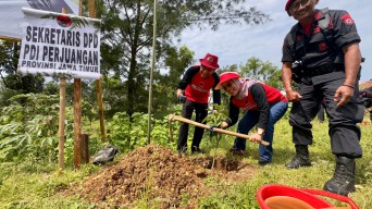 PDI Perjuangan Jatim Tanam 2.500 Bibit Kopi dan Buah-buahan di Donomulyo Malang