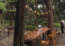 Menikmati Sensasi Ngabuburit Bernuansa Hutan Pinus di Jember