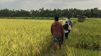 Serapan Gabah Bulog Kediri Lampaui Target, Nganjuk Sumbang Paling Banyak