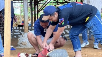 Penggerebakan Arena Sabung Ayam di Sampang Bocor, Polisi Diadang Kayu dan Batu