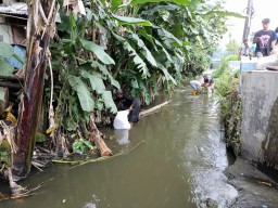 Mayoritas Sungai di Tulungagung jadi Tempat Pembuangan Sampah