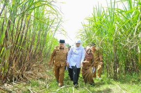 Melihat Lahan 9,7 Hektare di Malang yang Diperuntukan jadi Sekolah Rakyat