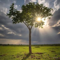 Hari Bumi 2025, Griya Ficus Tuban Gelar Aksi Konservasi Mata Air