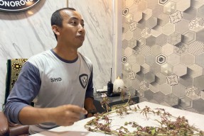 Heboh Tanaman Mirip Ganja Ditemukan di Ponorogo, Ini Kata Polisi