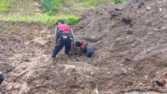 Anjing Pelacak Deteksi 3 Titik Diduga Lokasi Korban Longsor Trenggalek