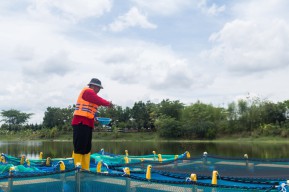 Program Keberlanjutan SIG Berbasis Lingkungan Serap 20 Ribu Tenaga Kerja